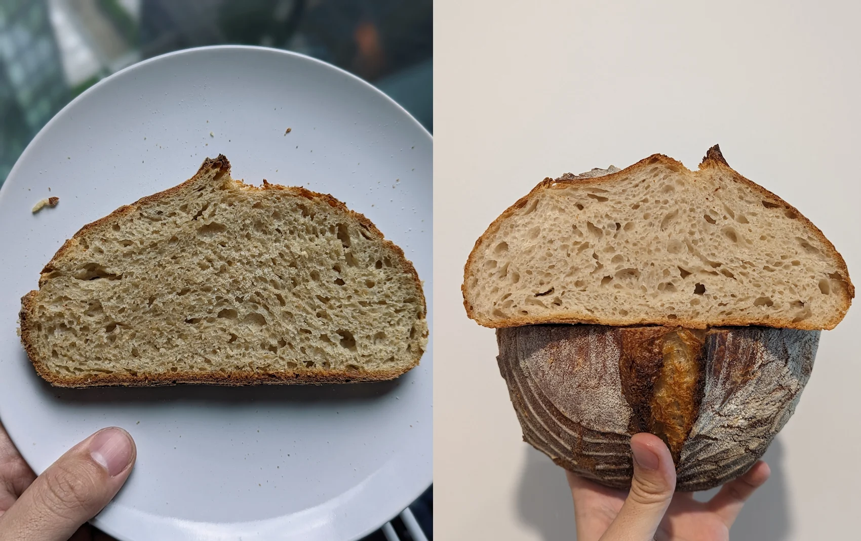 closedcrumb